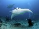 Destinos de buceo