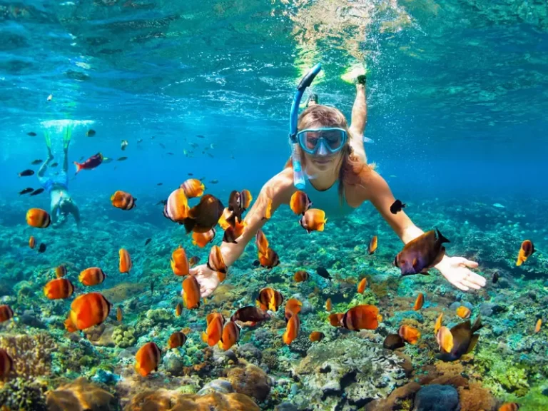 El Mundo del Buceo