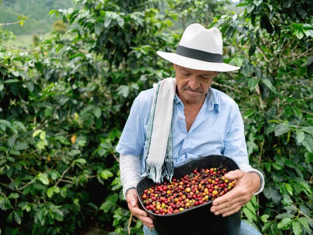 Los cafés de especialidad