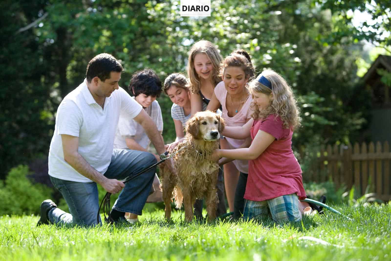 group of people standing on green grass field during daytime