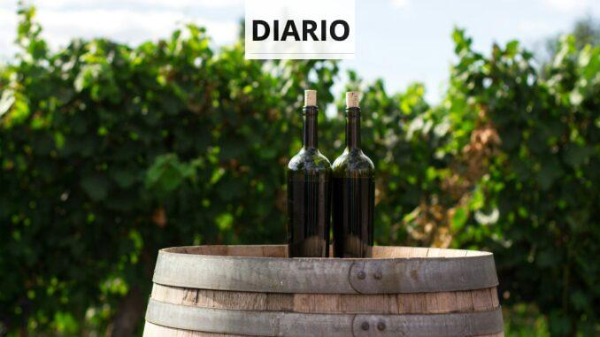 ¿Cuáles son los 10 mejores vino del mundo?
