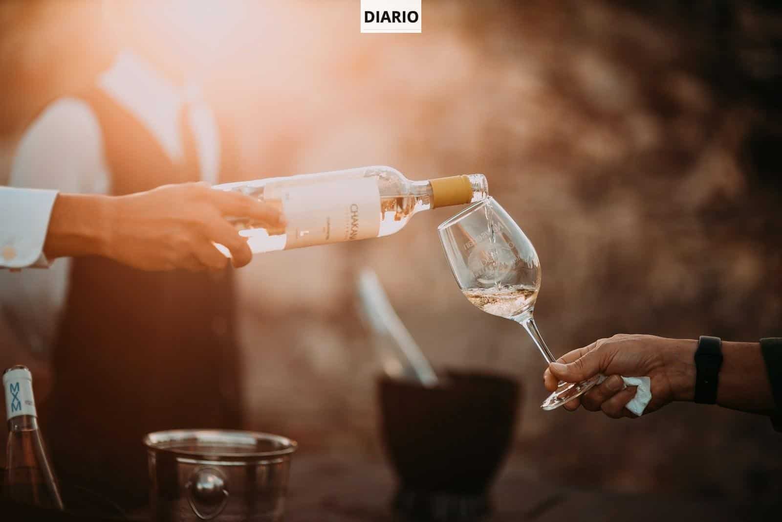 ¿Cuáles son los 10 mejores vino del mundo?