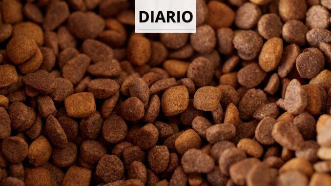 Qué hay detrás de la producción de alimentación animal de calidad