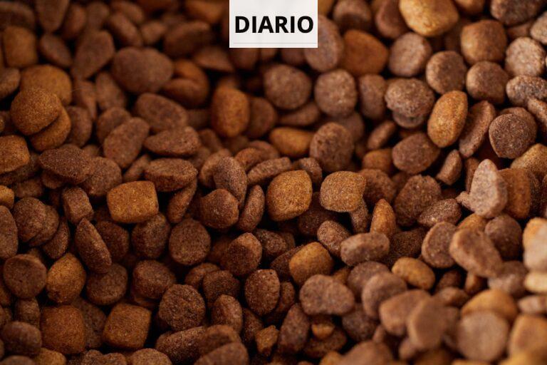 Qué hay detrás de la producción de alimentación animal de calidad