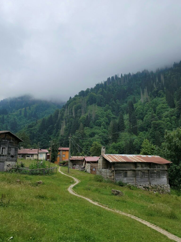 Casas de una aldea de montaña entre bosques y niebla